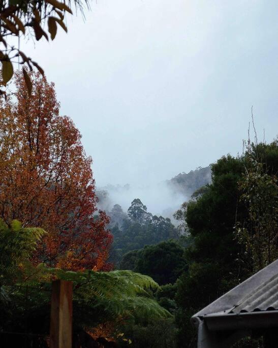 Harrys House Warburton - Peaceful Riverside Cottage In The Perfect Location 外观 照片