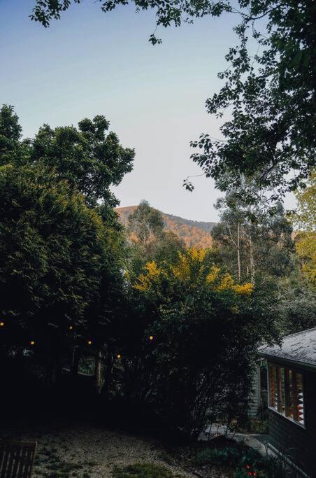 Harrys House Warburton - Peaceful Riverside Cottage In The Perfect Location 外观 照片