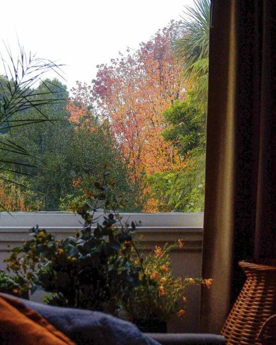Harrys House Warburton - Peaceful Riverside Cottage In The Perfect Location 外观 照片